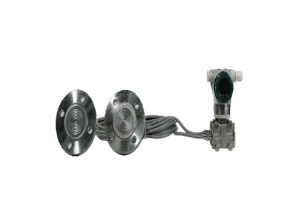 Smart Double Flange Level Transmitter